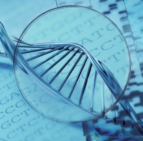 ��֢;��֢ҩ��