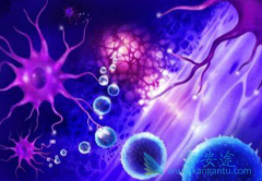 ����Ķ෢�Թ��������߿���ʹ���������ף�