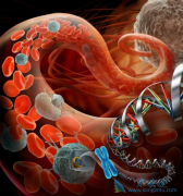 ���˱�֪��8�ֳ�����֢ɸ������Щ�����ٰ���Ҫ��ô��⣿