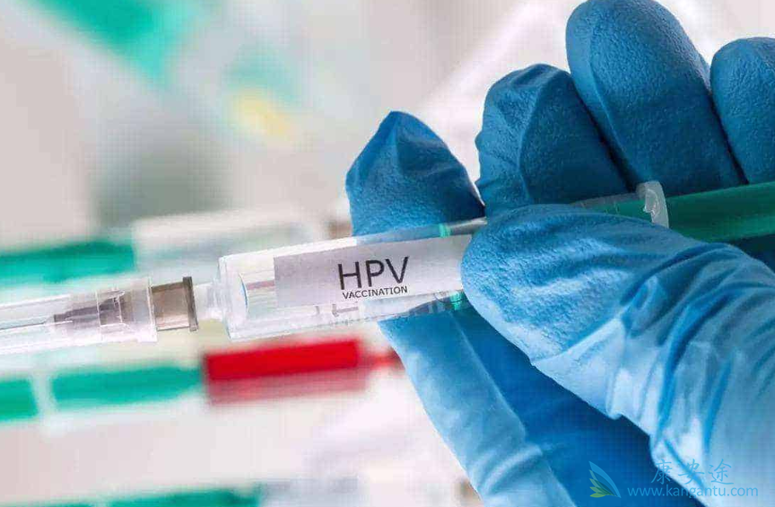 ������;��ɫ����