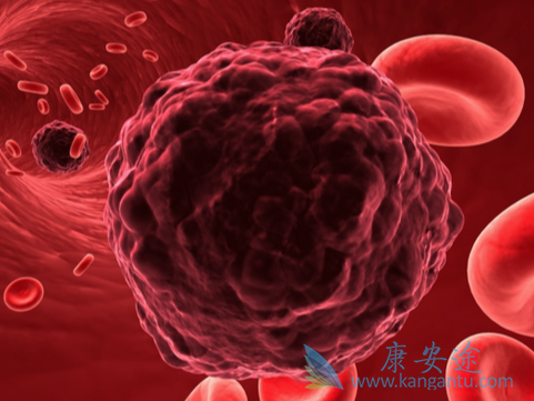 ������ܰ���;��������