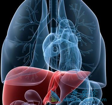 �Ҹδ���;��;�Ҹβ���