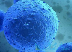 �ռ�������ϸ����Ѫ��������