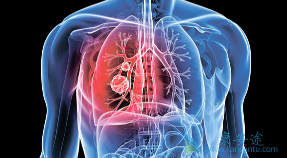 �ΰ�egfr�е�;�ΰ�������