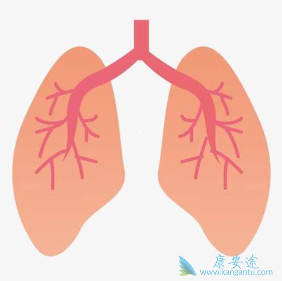 �ΰ�EGFRҩ��;�ΰ�����ҩ��