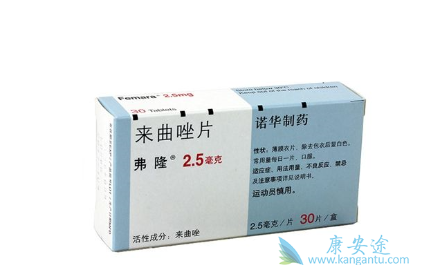 ������Ƭ