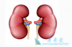 ����ת������Щ��ʽ������������ôת�ƣ�