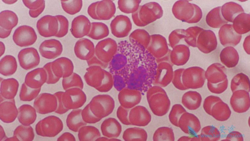 ����ҩ;����������