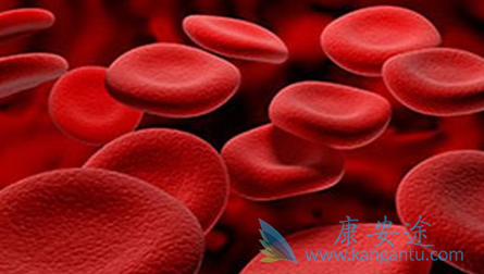 ������Ѫ��;����