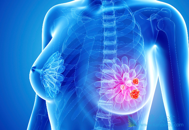 内分泌治疗 内分泌治疗