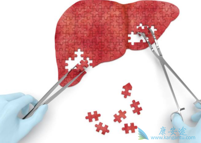 ����˵����;����