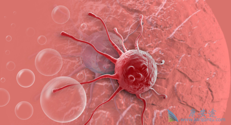 ��������;����