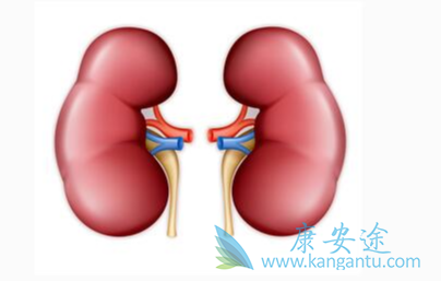 ����ת��;��֢