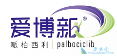 ��������(palbociclib)���ٴ�Ӧ�������Ǽ۸�
