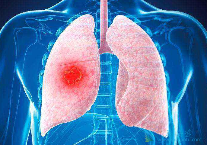 �ΰ�����;�ΰ����˳�ʲô