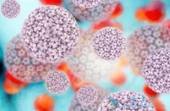 ����HPV����ǰ��Ҫ��������ɸ���𣿹���������Ҫ����