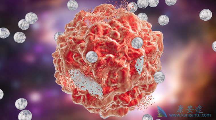 ����;��������