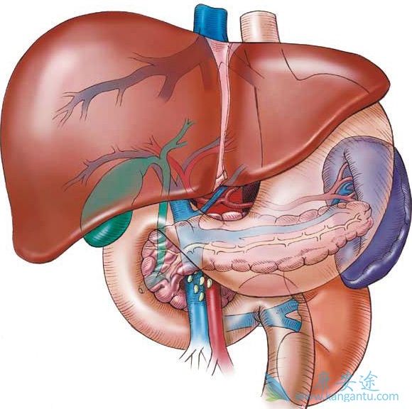 �ΰ�����;����