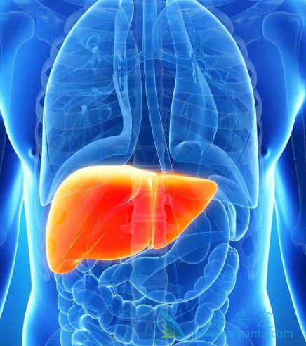 �ΰ�����;�ΰ�������ô����