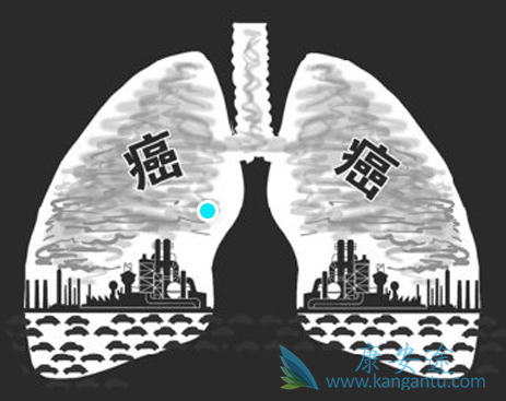 ����;��֢ת��