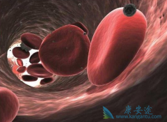 �෢�Թ�����ֻ��Ҫ���п�����������