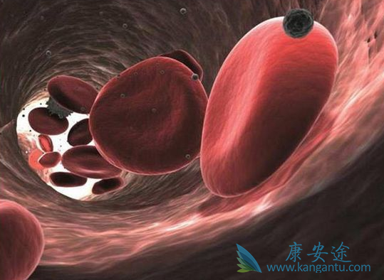 �෢�Թ�����;����������