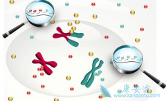 ����ҩ��Ϊʲô��ô�󣿰�������Ч������