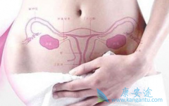 �ѳ�����ԭ������Щ���ѳ������Ʋ���ʲô�ֶΣ�