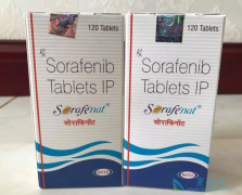 �༪����2007��������еĸΰ����������ֶ�