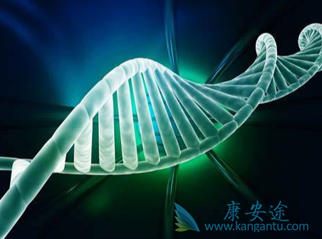 ����;��������