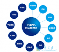 ��������������Щ������������־��߾��Ƿΰ�����