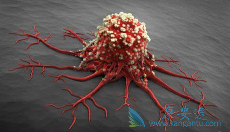 ��֢����;��֢ת��