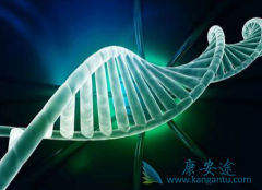 70%�Ķ������������ڲ�ͬ�׶���Ҫ���з��ƿ�