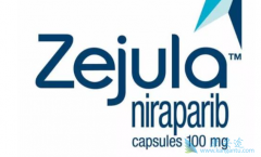 ��������(Zejula)��PSR�ѳ���ά�������еļ�ֵ