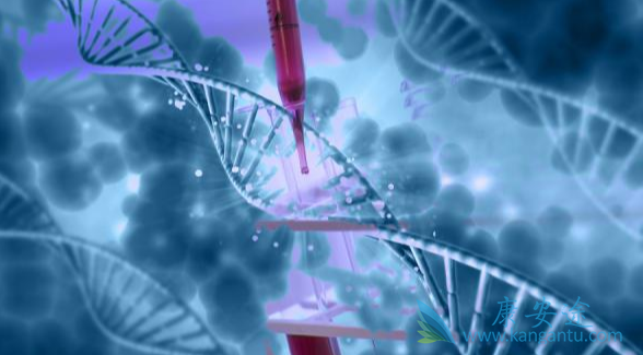 �෢�Թ�����;�෢�Թ���������