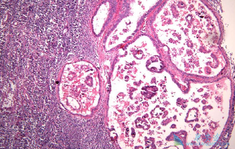 ��������;����