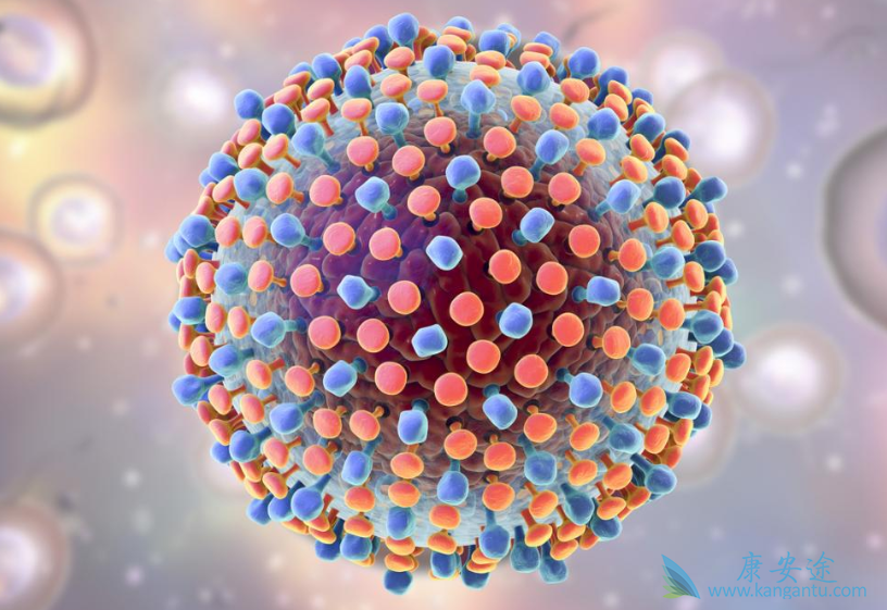 HCV;����������