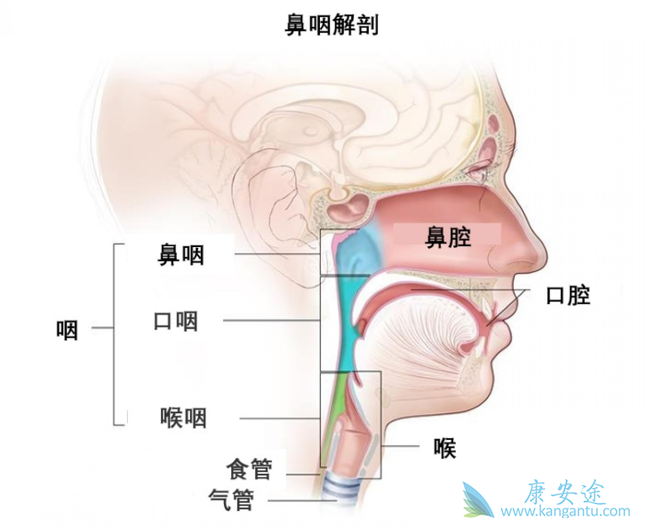 ���ʰ�;���Ʊ��ʰ�