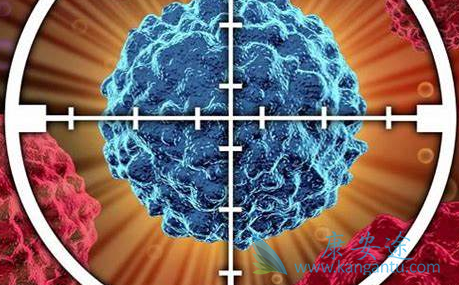 ������;��������