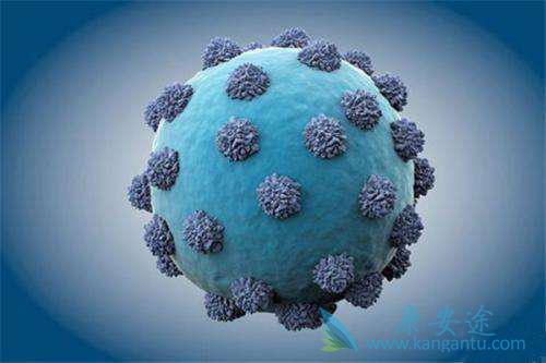 ���ε����Ʒ���