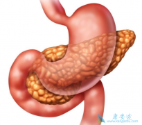 ���ٰ�������ǰ������