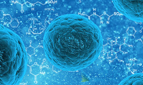 ǰ���ٰ�;ǰ���ٰ�������