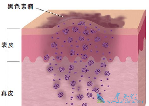 ��ɫ����;��ɫ��������