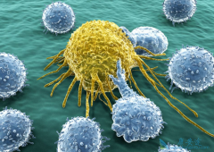 ����������������ǰ���ٰ���