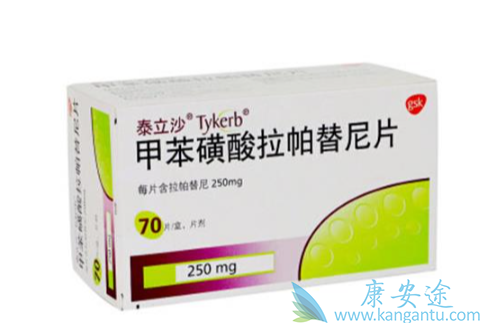 拉帕替尼;乳腺癌 拉帕替尼;乳腺癌