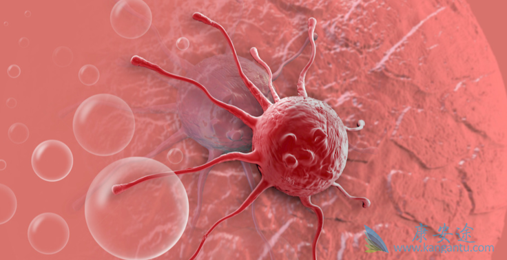 ��֢;����