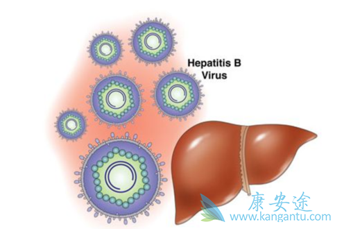 ���β���;�ҸεĴ���;��