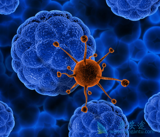 丙肝病毒;丙肝抗体阳性 丙肝病毒;丙肝抗体阳性