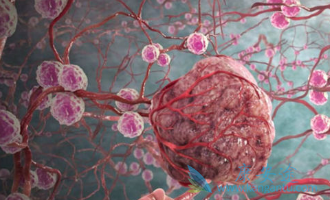 ��֢;��������