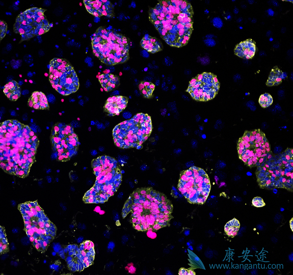 ������־��;����